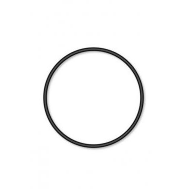 2" O-Ring - Waterway (P/N: 805-0229)